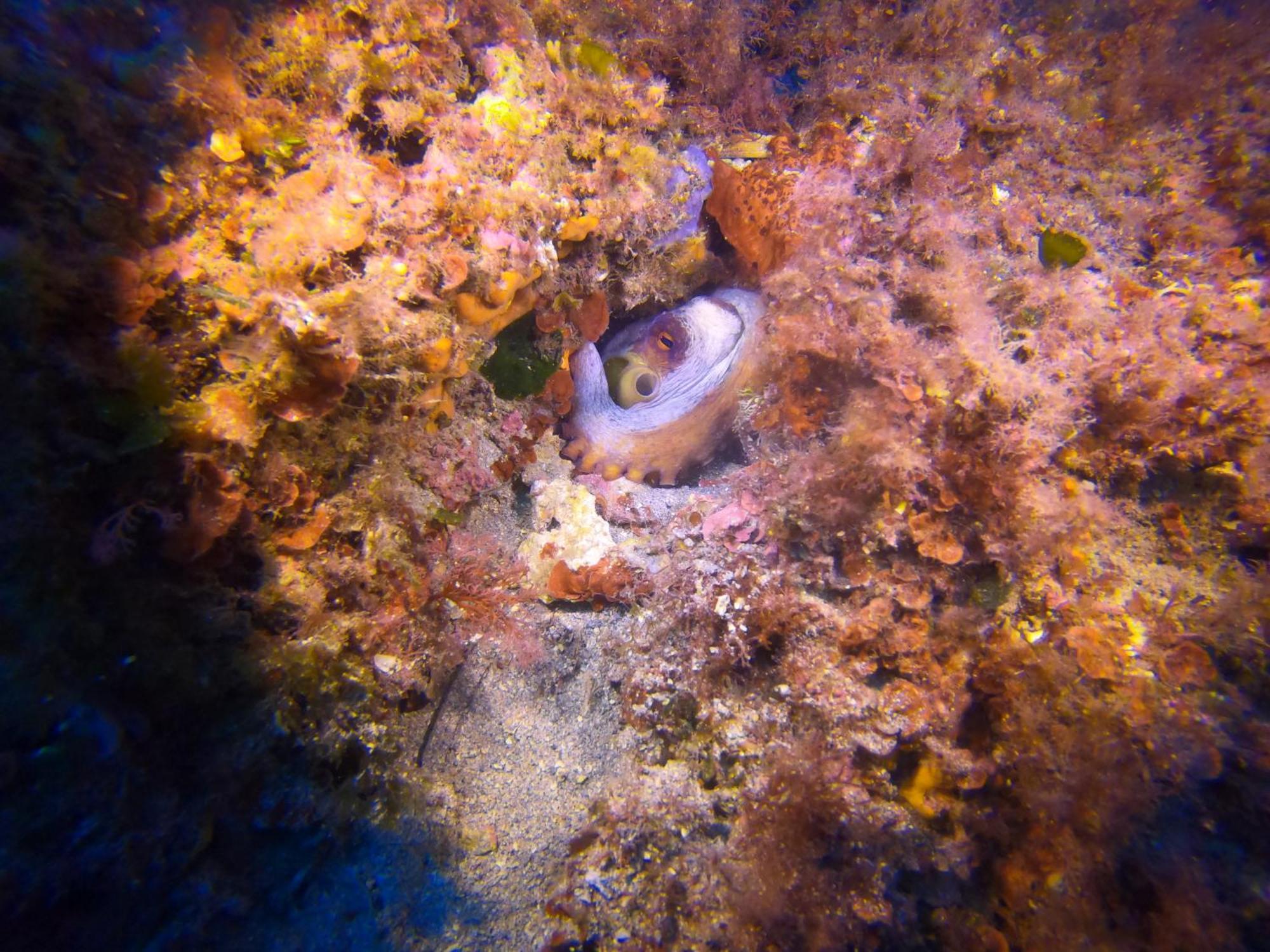 Casetta Fardella 95 Trapani Esterno foto